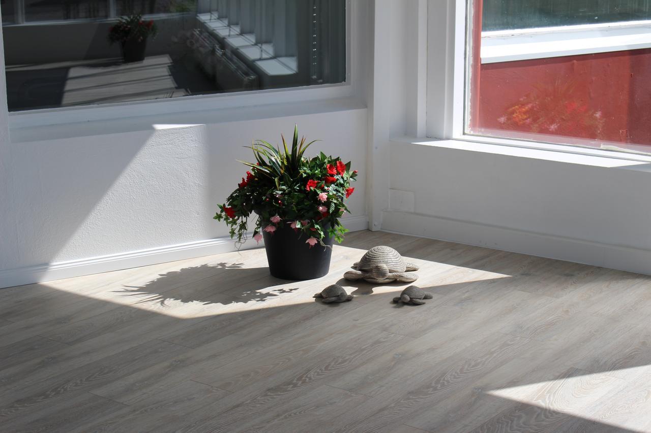 Ocean Beach Apartments Stokkseyri Extérieur photo